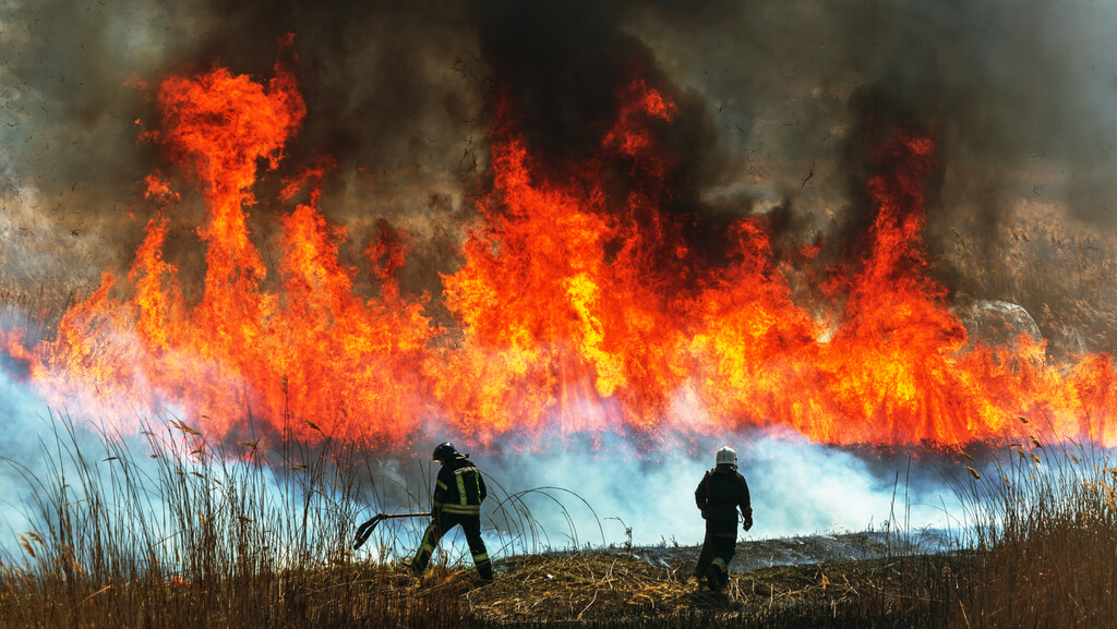 4 Pros And Cons Of Hiring A Public Adjuster In New Jersey For Your Natural Disaster Damage Claims